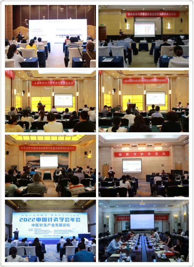 1658368822971810.png?x-oss-process=style/w10 image.png?x-oss-process=style/w10